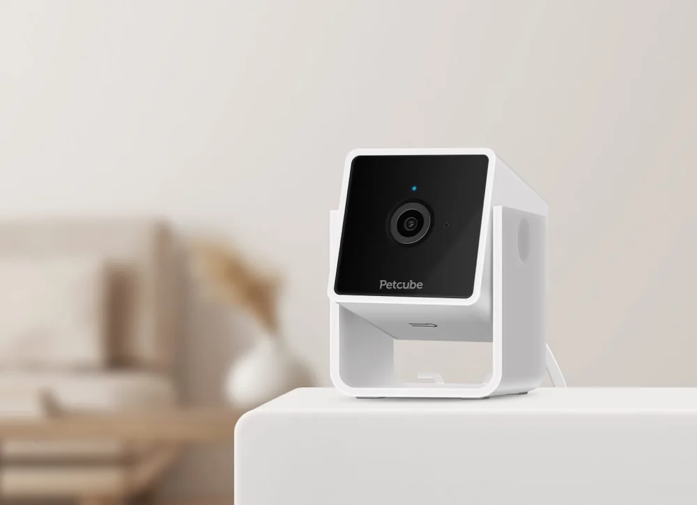Petcube Cam